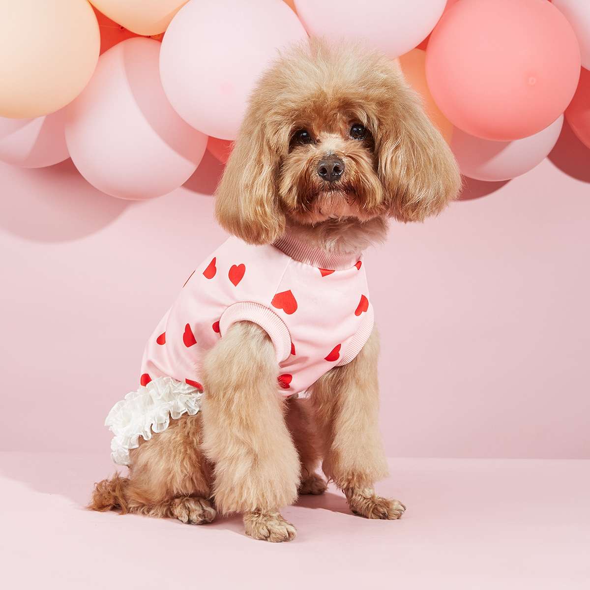 犬服 ハートいっぱい フリルワンピース