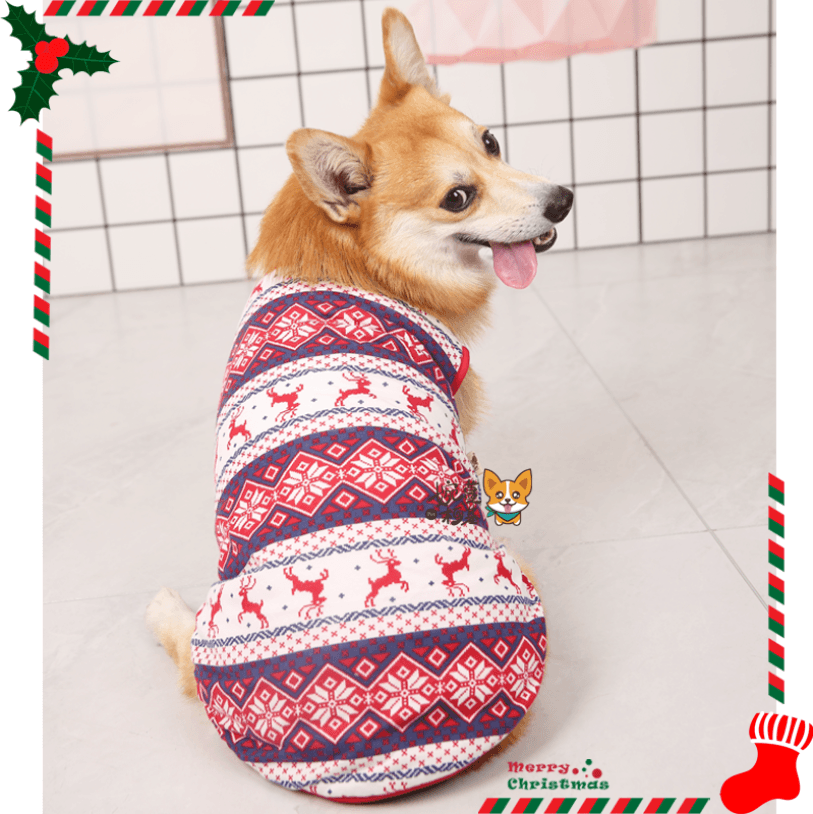 犬服 コーギー用クリスマス柄ベスト