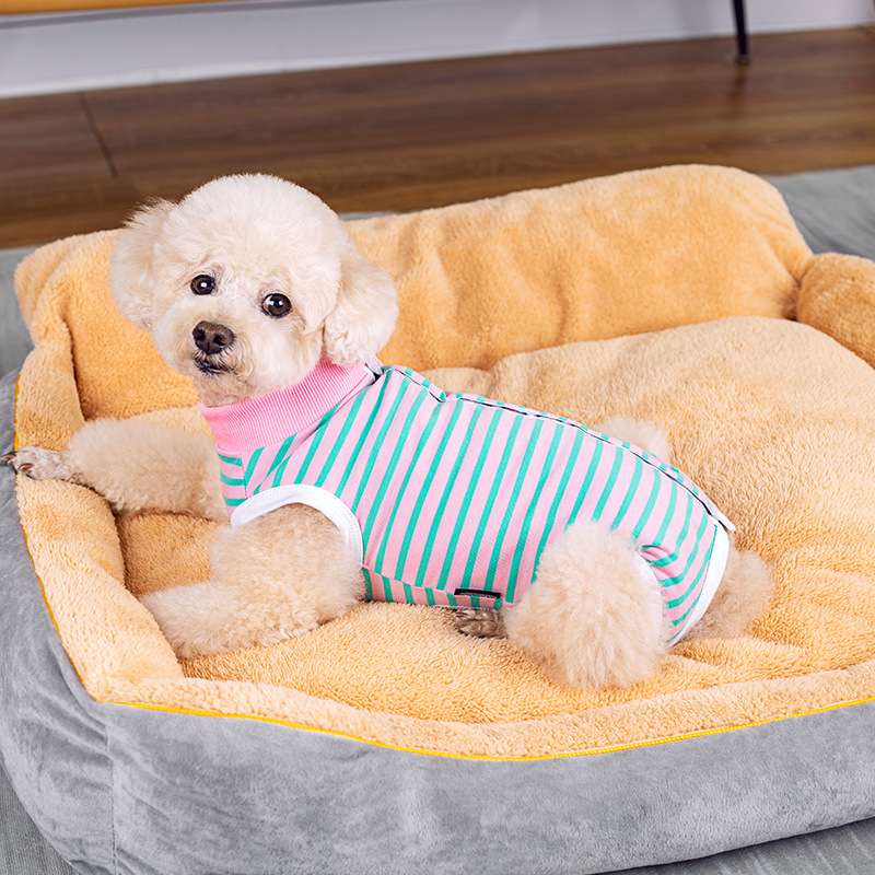 犬服 ふわもこ小型犬用ボーダーTシャツ