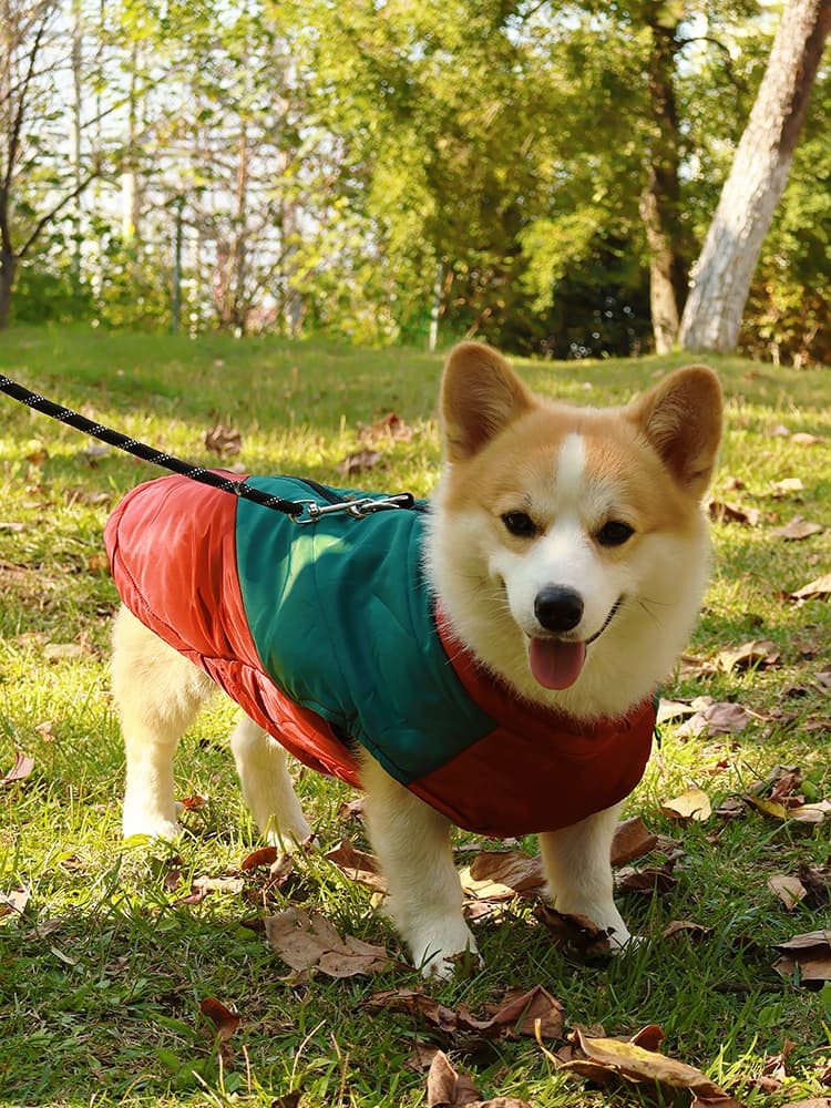 犬服 アウトドア風切り替えコート