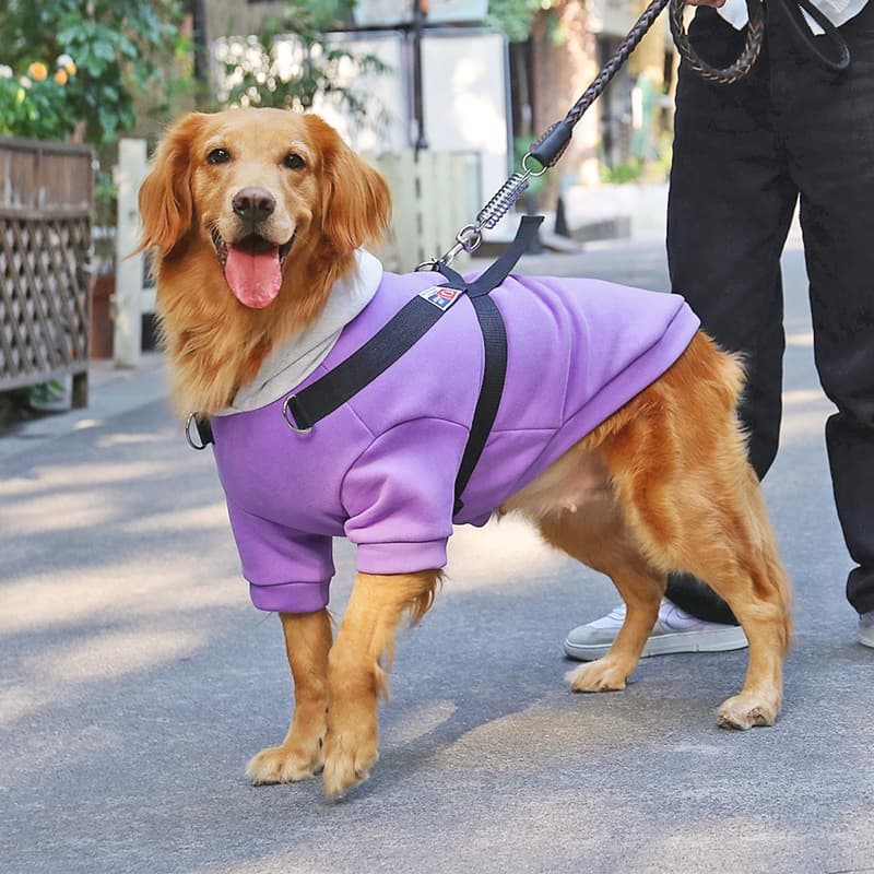 犬服 胸元調節可能犬用多機能安全散歩服
