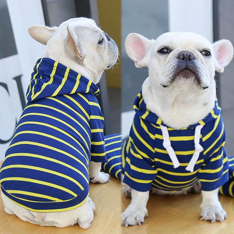 パーカー風ボーダー柄犬服
