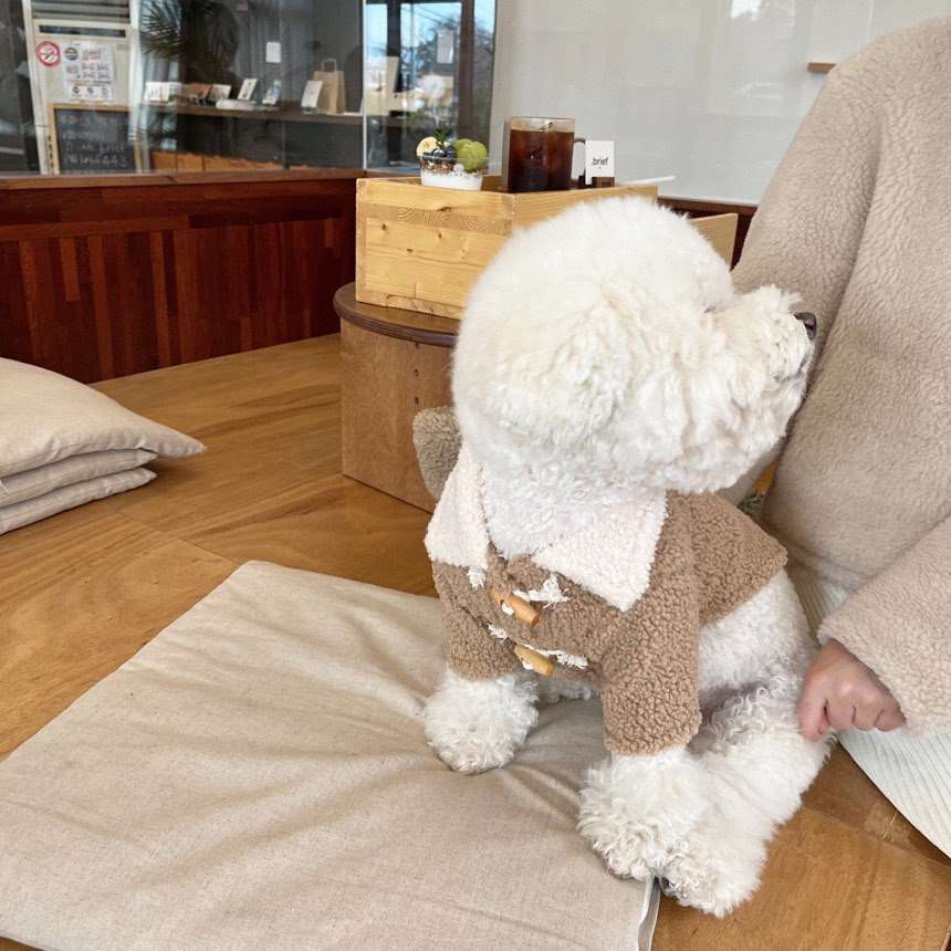 犬服 もこもこ着ぐるみ風ダッフルコート