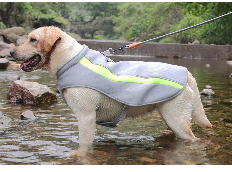 犬服 ひんやり涼感アウトドアベスト