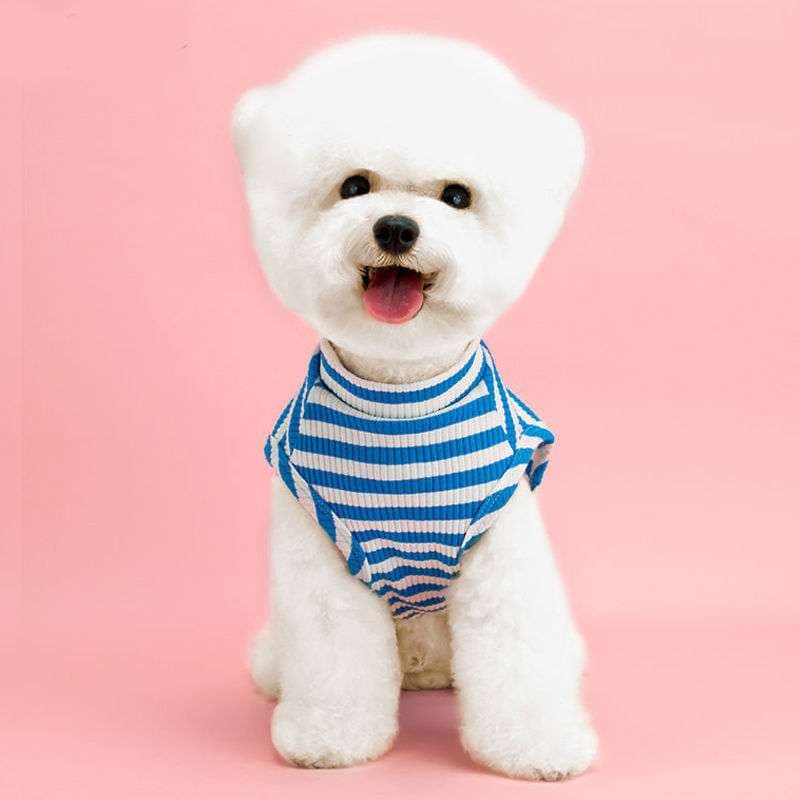 犬服 普段着Tシャツ