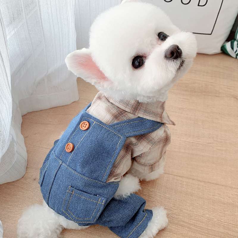 犬服 小型犬用オーバーオール風デニムシャツコーデ