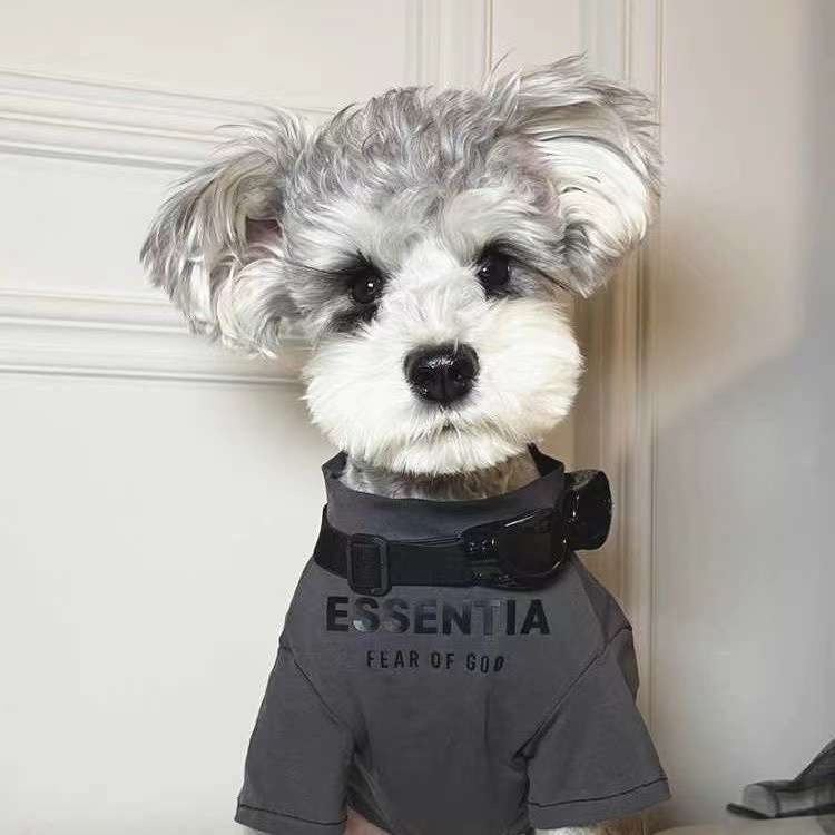 犬服 神を恐れるおしゃれな小型犬用タンクトップ