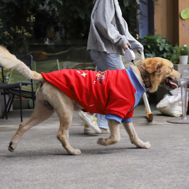 犬服 大型犬用ハッピーデー柄スポーツウェアTシャツ