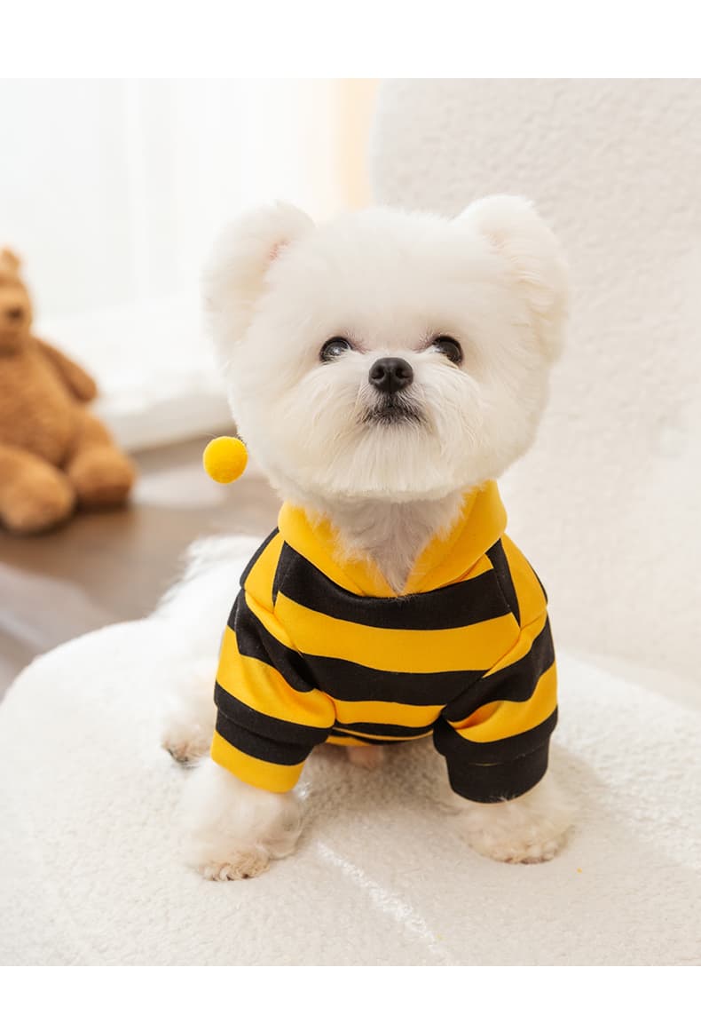 犬服 ミツバチ風ふわもこトレーナー