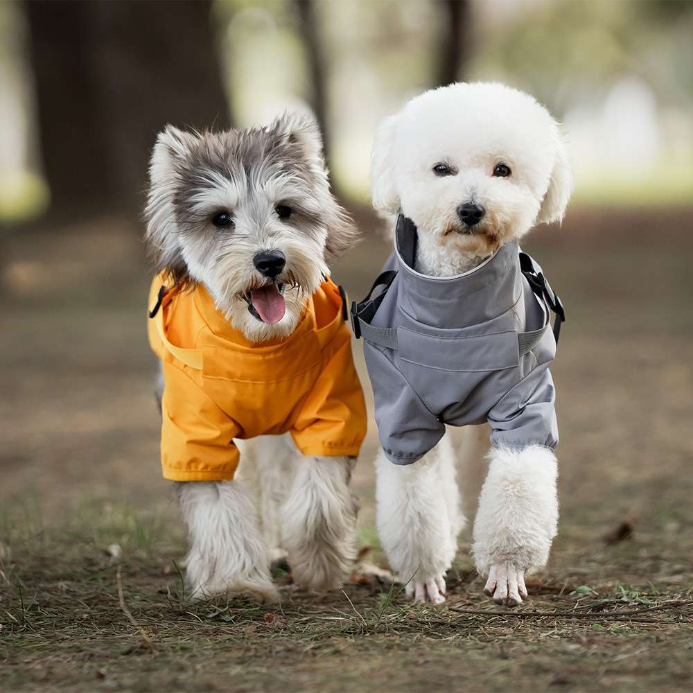 犬服 中型犬〜小型犬用オールウェザーコート〈レインウェア〉
