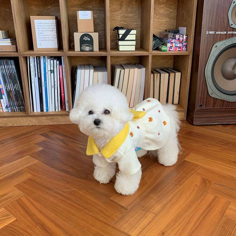 犬服 もこもこ犬用ワンピース フルーツ柄