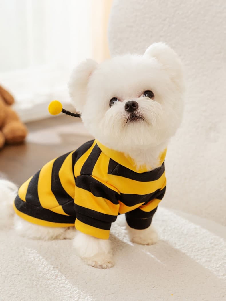 犬服 ミツバチ風ふわもこトレーナー