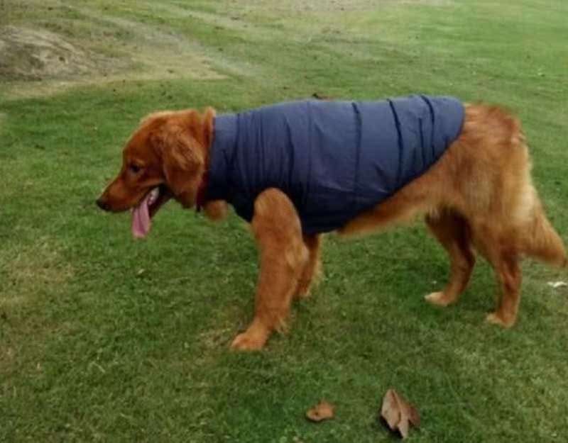 犬服 ふわもこ防寒ベスト犬用ジャケット