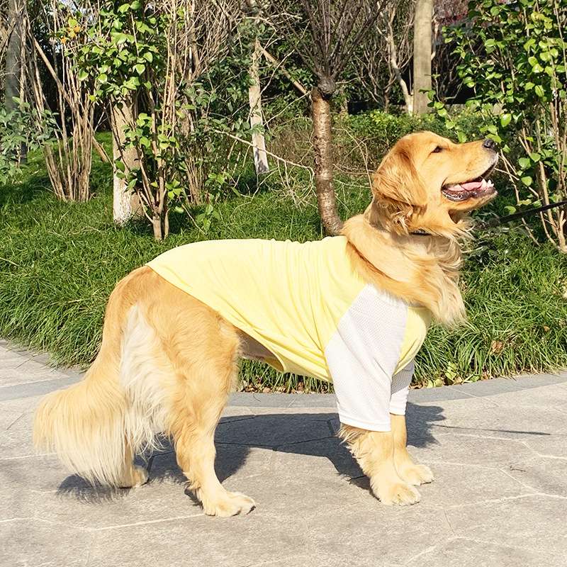 犬服 涼感メッシュ生地の大型犬用Tシャツ