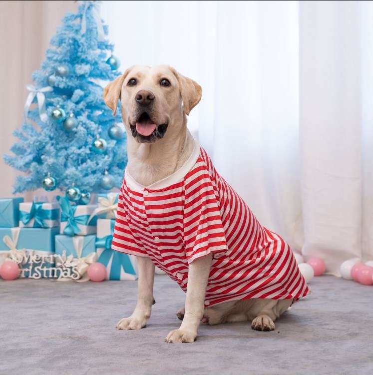 犬服 大型犬用ボーダー柄オーバーサイズTシャツ