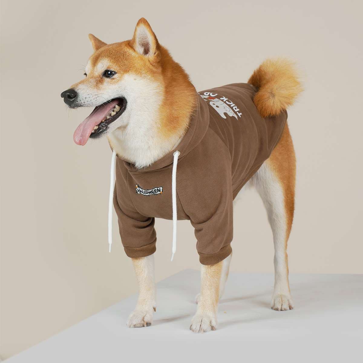犬服 中型犬用スポーティーパーカー