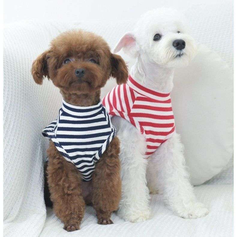 犬服 普段着Tシャツ