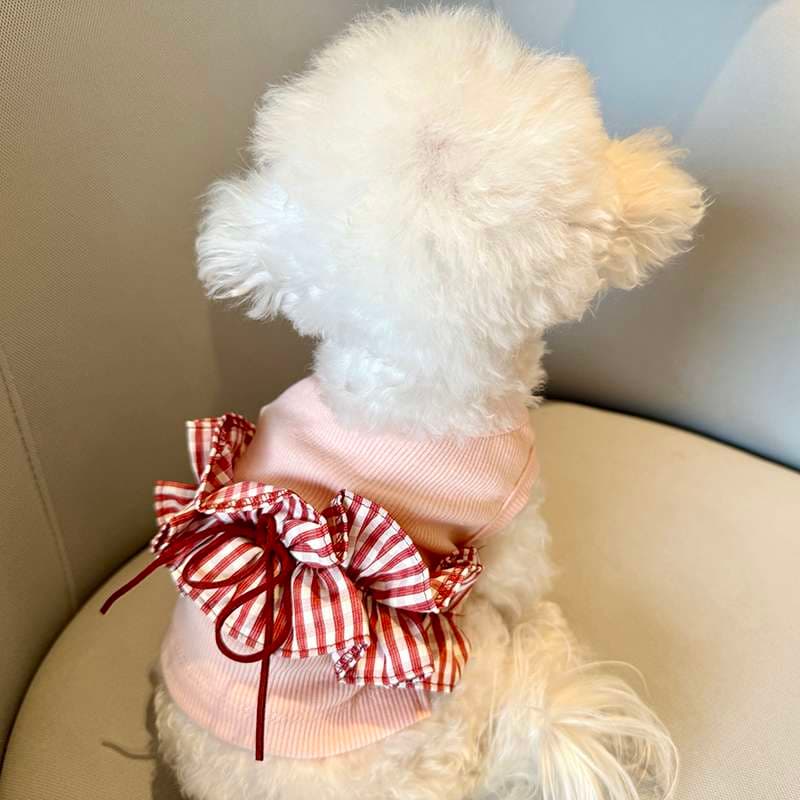 犬服 リボン付きフリル襟ニットウェア