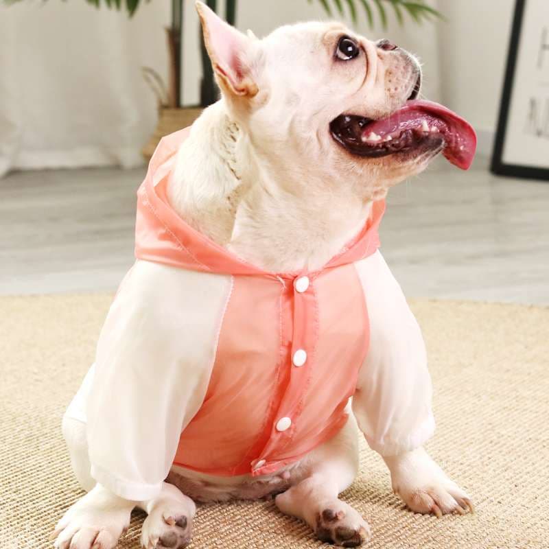 犬服 パステルカラーのパーカー