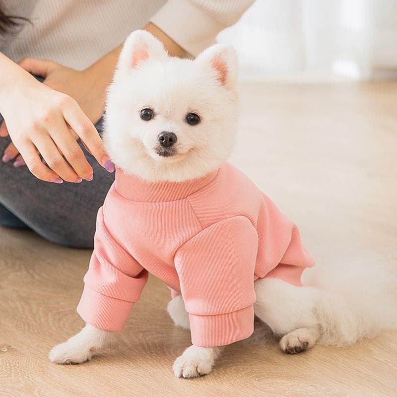 犬服 花かんむりデイジー刺繍裏起毛パーカー