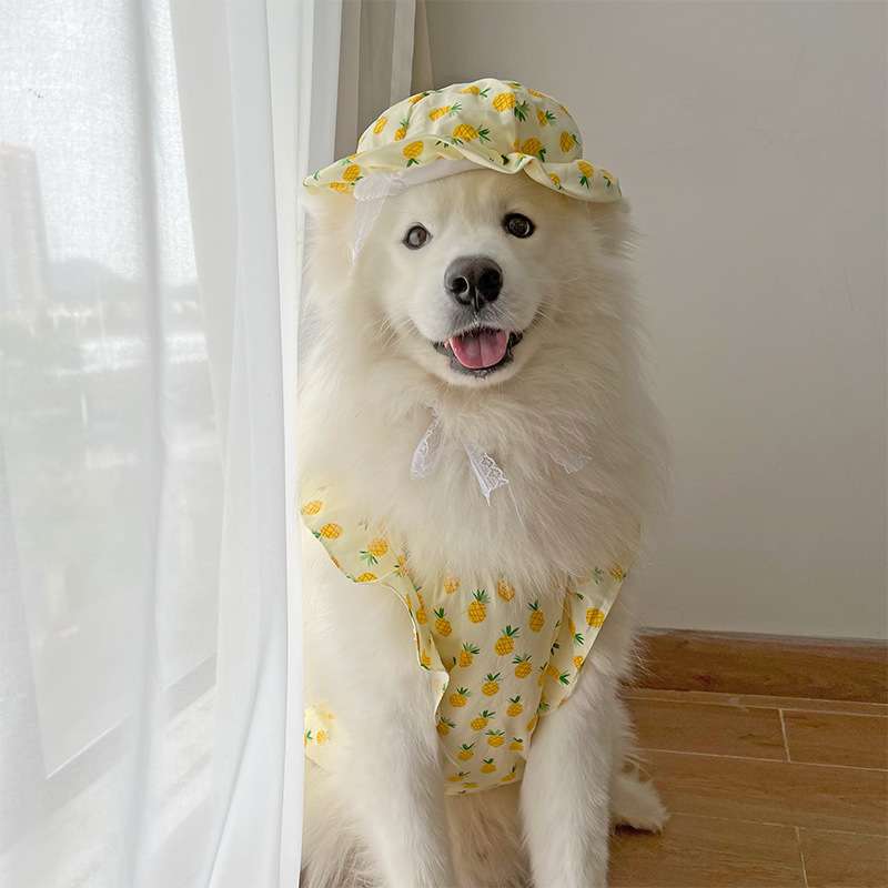 犬服 パイナップル柄 大型犬用ワンピース