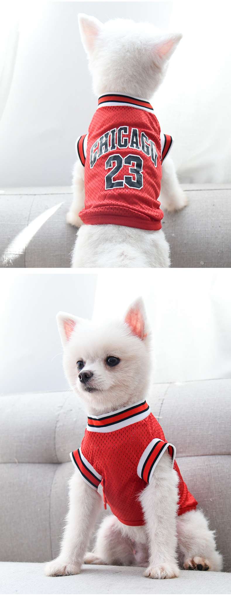 犬服 シカゴ風スポーツチーム犬用ユニフォーム