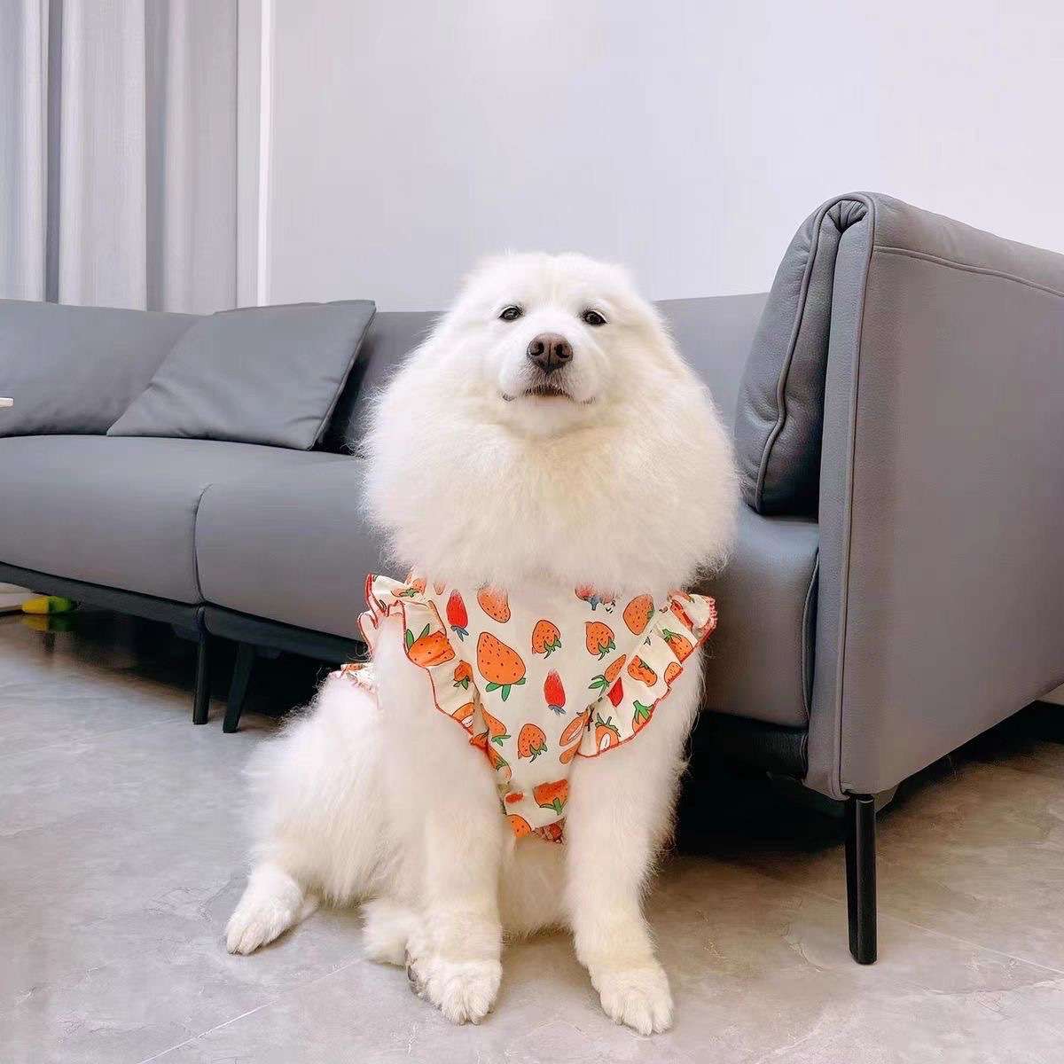 犬服 いちごプリント柄フリル付きペット用スタイ
