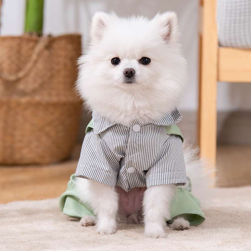 犬服 ふわもこワンちゃんのオシャレつなぎ