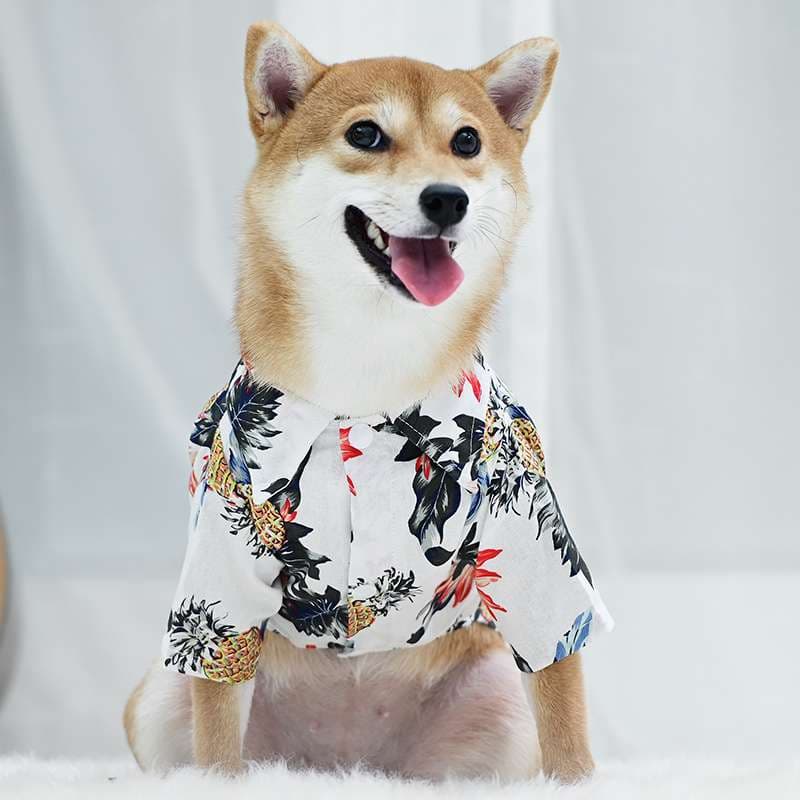 犬服 アロハ柄シャツ 中型犬用夏服