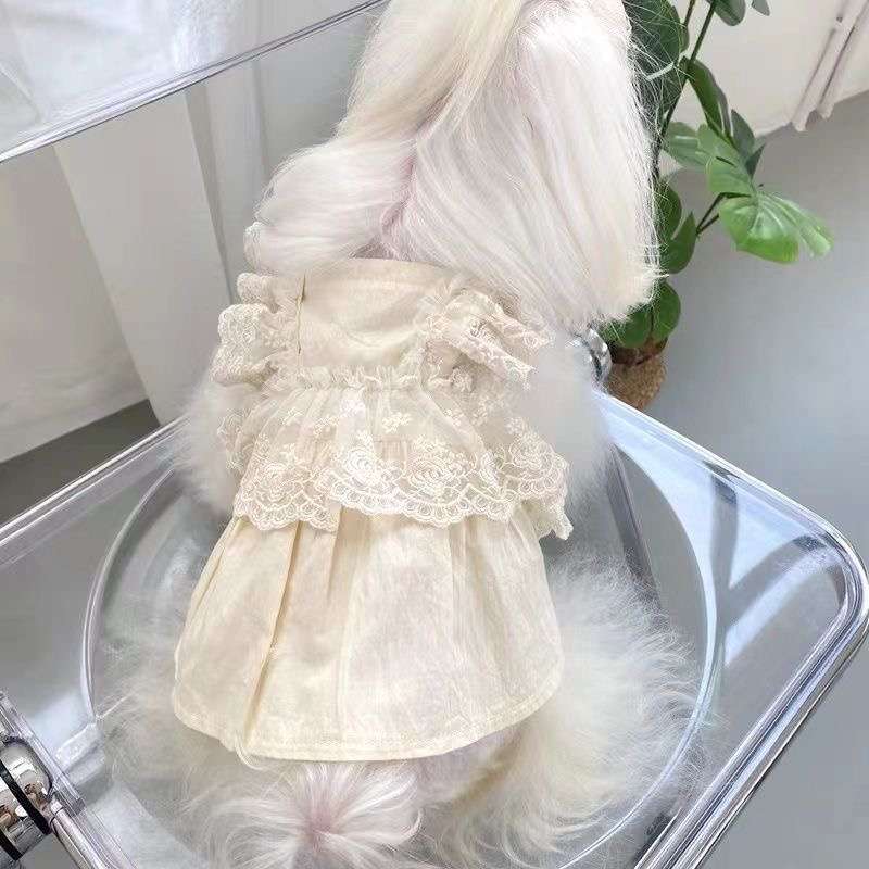 犬服 ふんわりレースのプリンセスワンピース