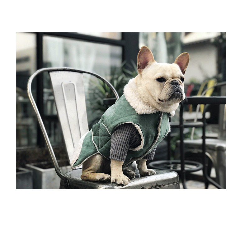 犬服 もこもこ襟付き防寒コート
