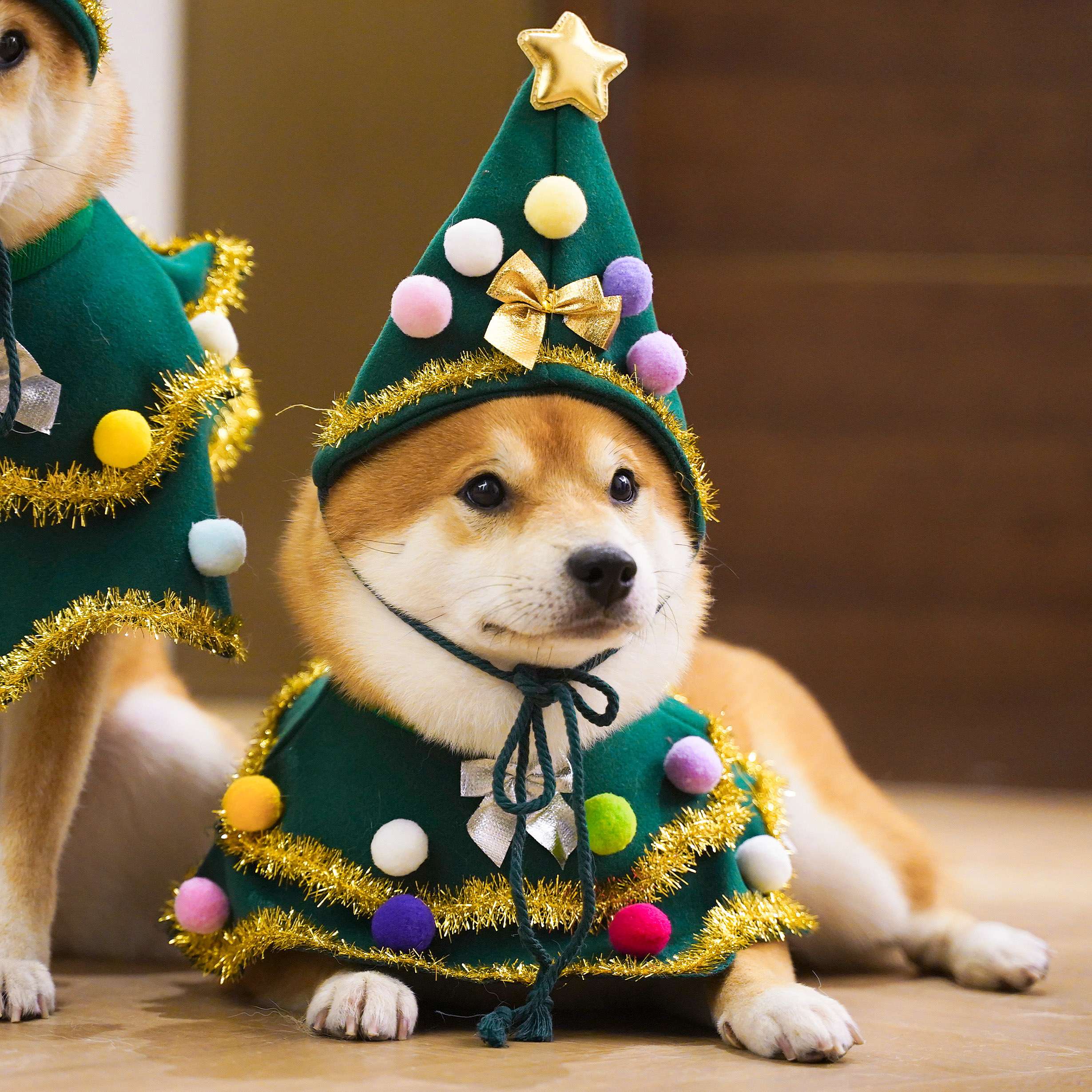 犬服 クリスマスツリー風 わんちゃん変身コスチューム