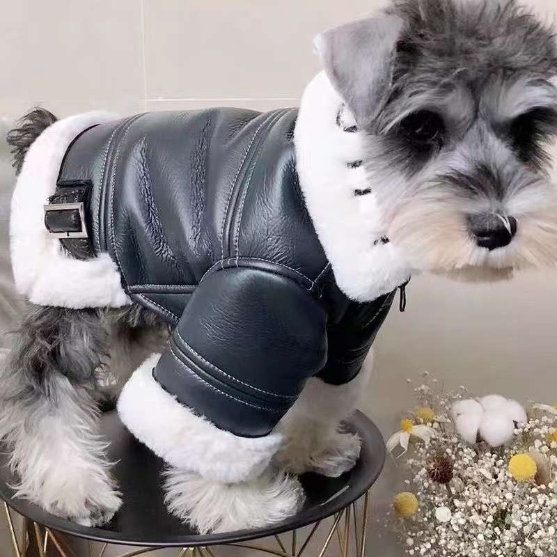 犬服 高級感あふれる革ジャケット風コート