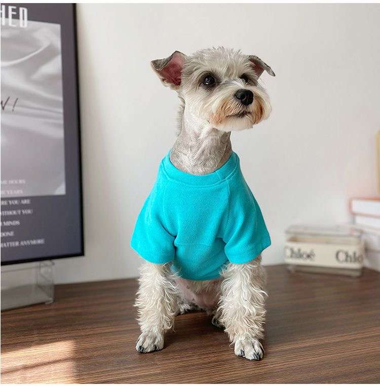 犬服 小型犬用おしゃれTシャツ