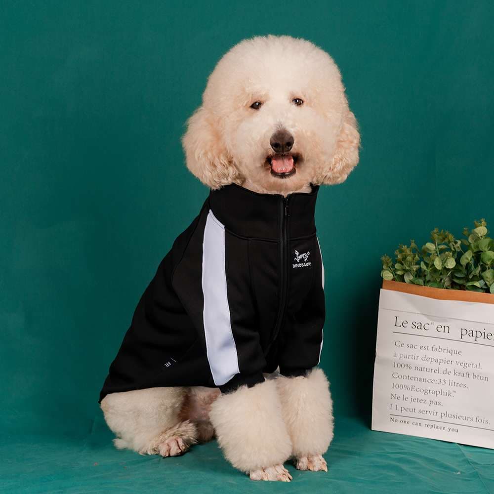 犬服 アウター 小型〜大型犬用スポーティージャンパー