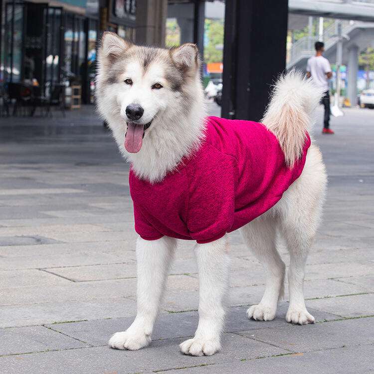 犬服 もこもこ素材の中型犬用ドッグウェア