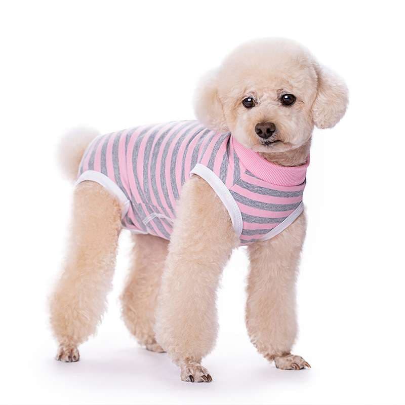 犬服 ふわもこ小型犬用ボーダーTシャツ
