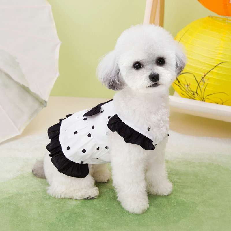 犬服 ふんわりポルカドット ワンピース