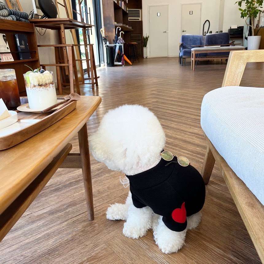 犬服 愛らしいハート柄の小型犬用セーター