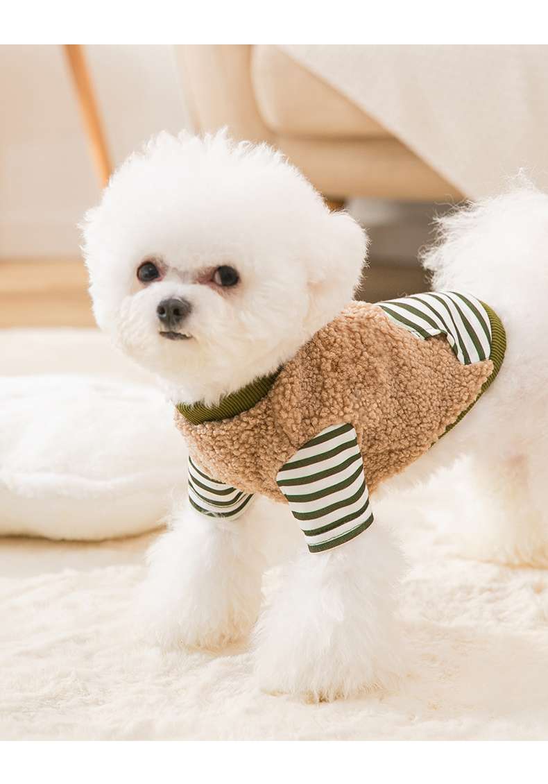 犬服 もこもこボーダー袖の小型犬用ニットウェア