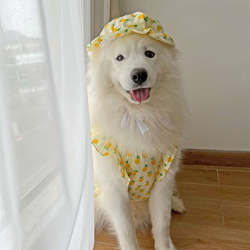 犬服 パイナップル柄 大型犬用ワンピース