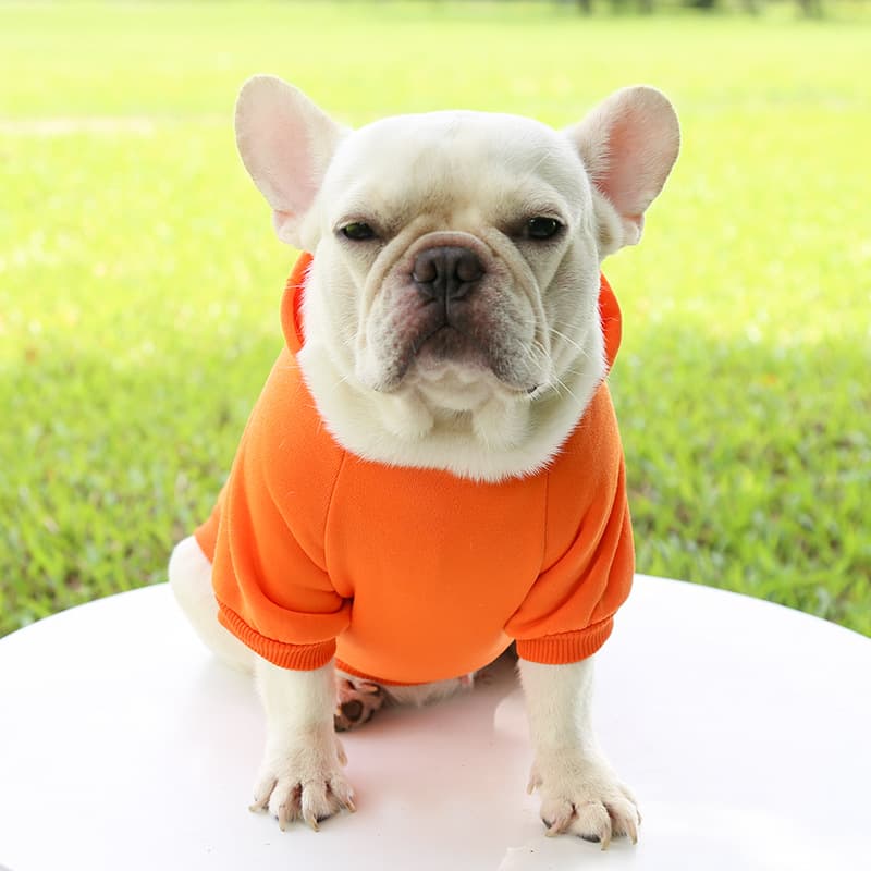 犬服 ベーシックポケット付き裏起毛パーカー