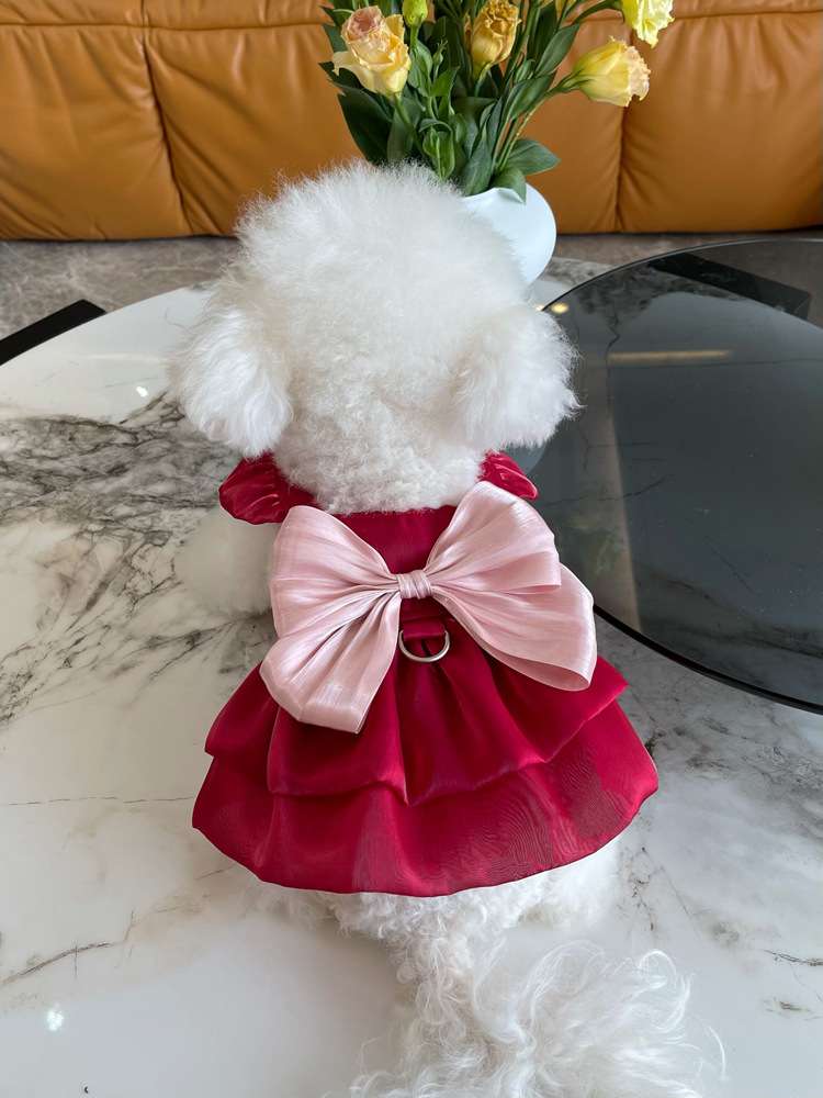 犬服 ふんわり姫様ドレス ワンピース