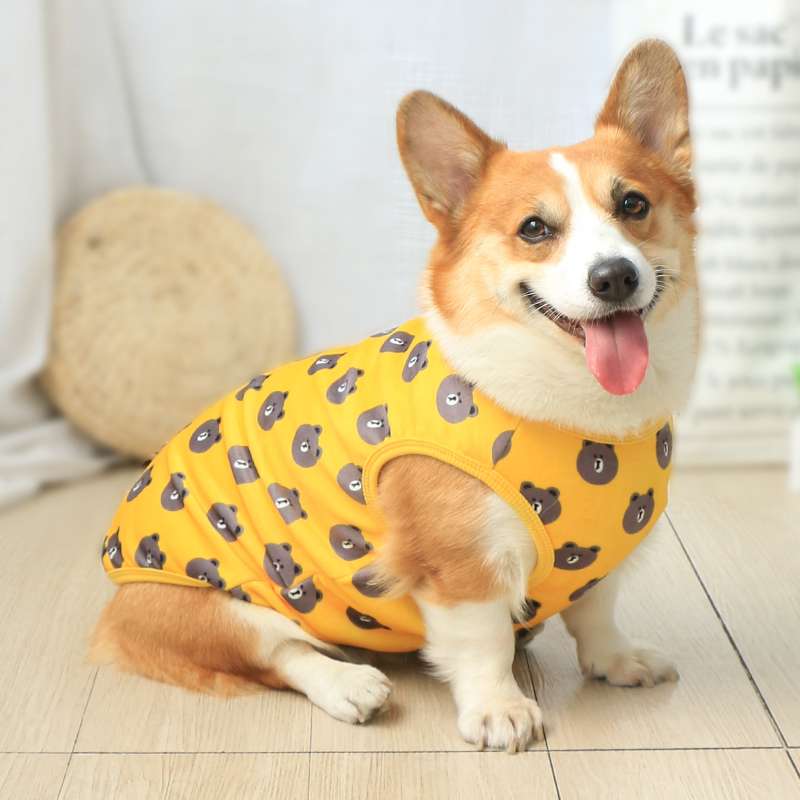 犬服 ふわもこ熊さんベスト
