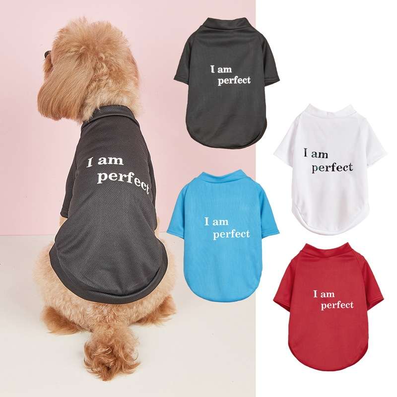 犬服 自信満々ペット用Tシャツ