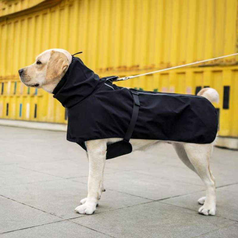 犬服 中型犬用オールシーズンレインコート
