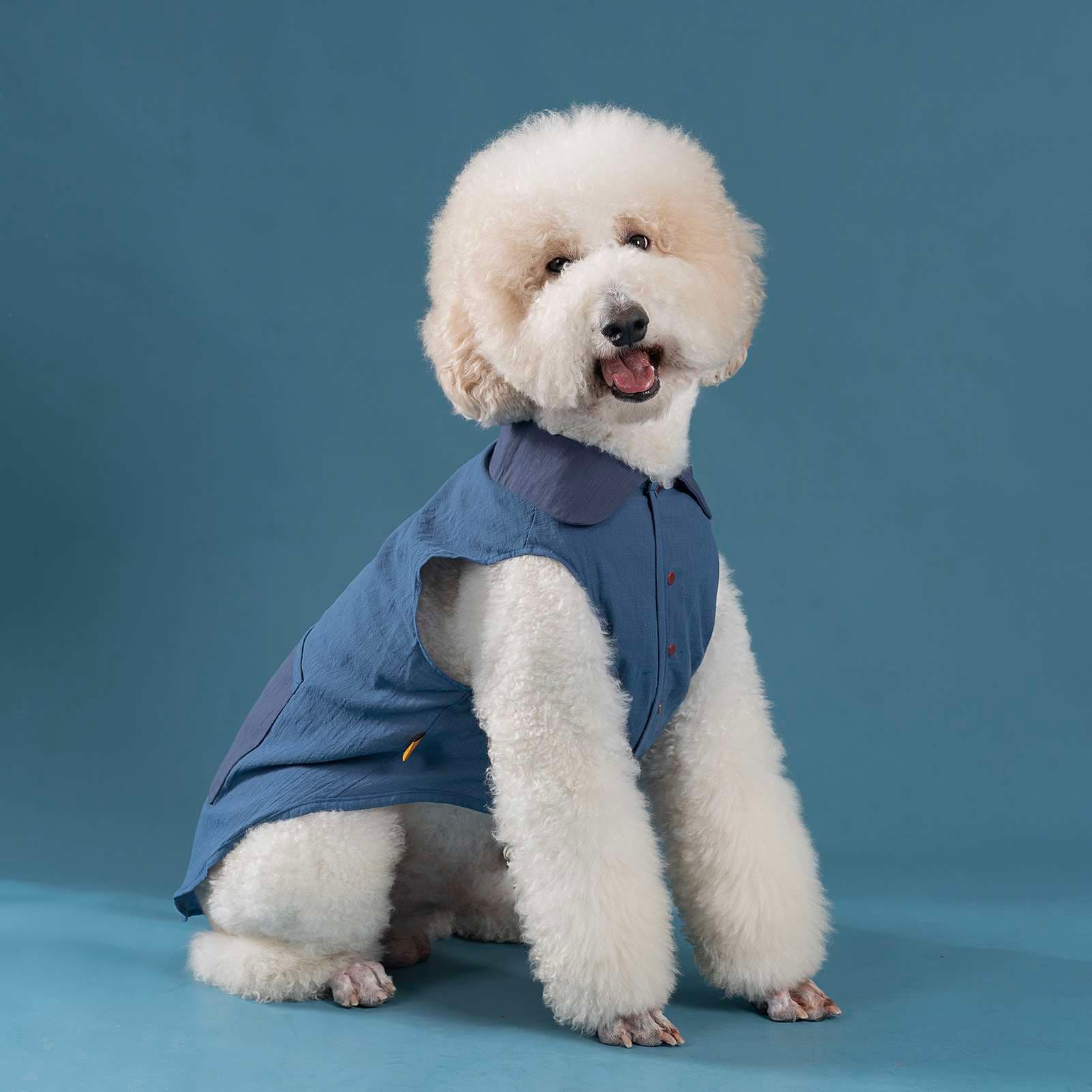 犬服 ふわもこワンちゃんのお洒落なベスト