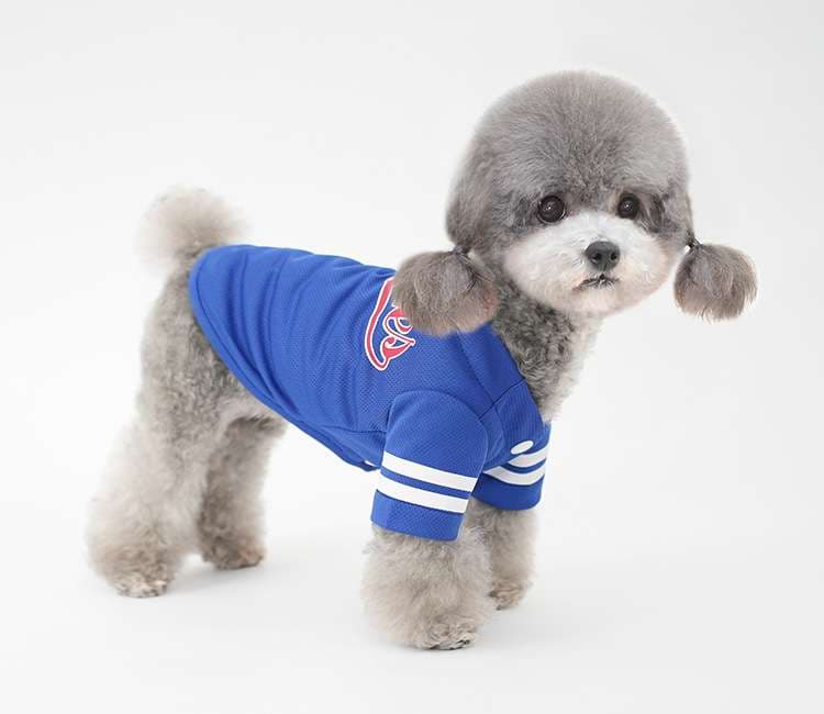 犬服 小型犬用スポーツウェア
