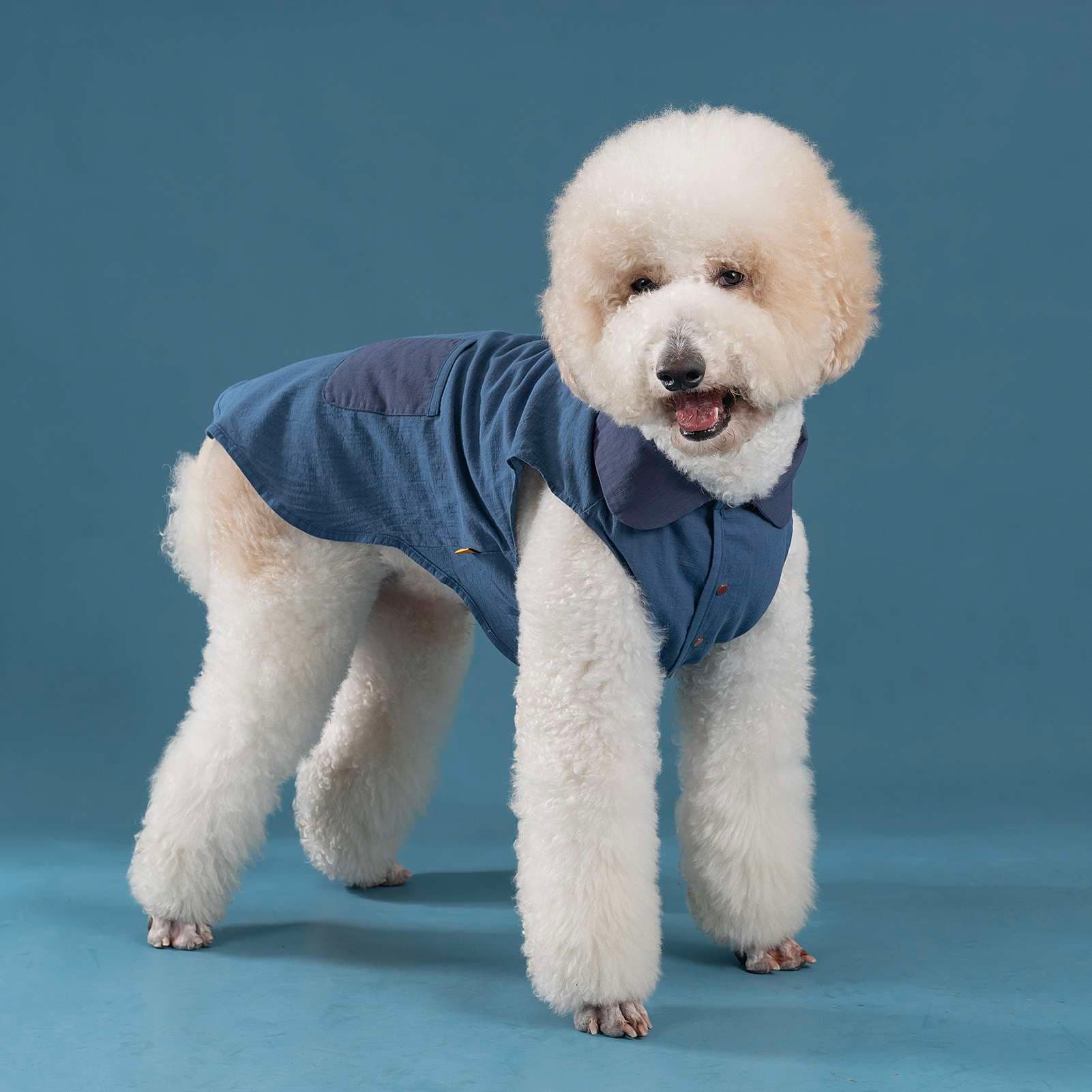 犬服 ふわもこワンちゃんのお洒落なベスト