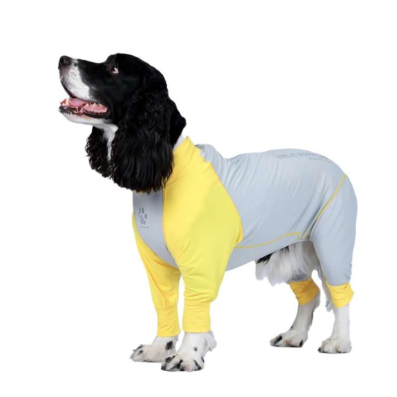犬服 もこもこワンちゃん専用スポーツウェア